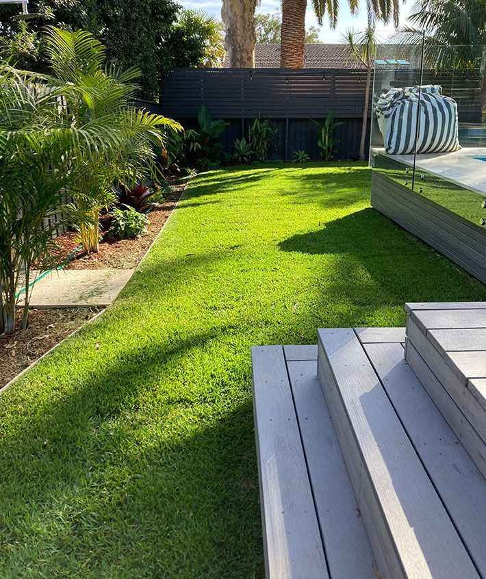 Farm lawn area with wide green turf coverage providing a healthy surface across NSW
