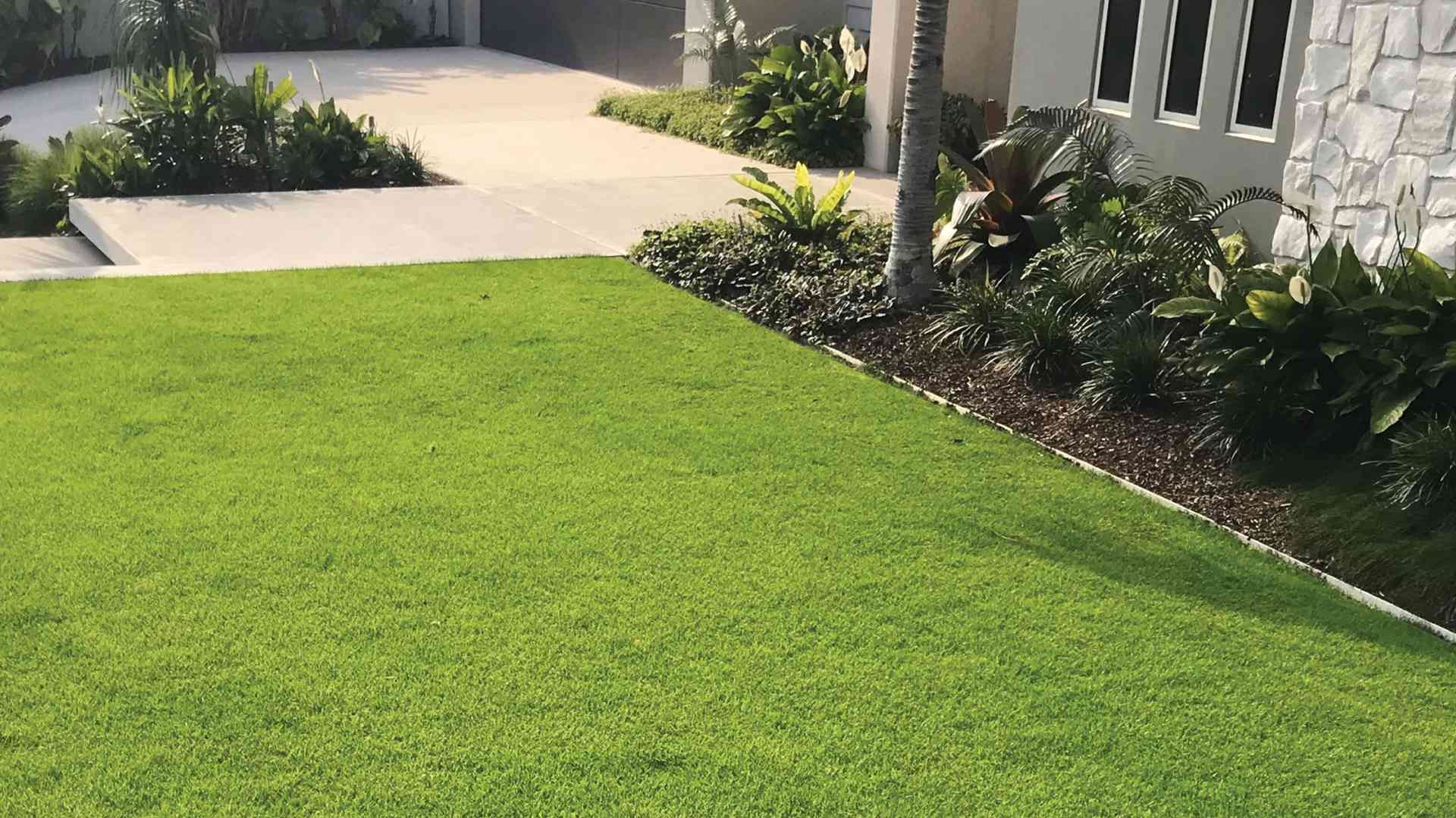 Residential lawn with neat garden edges and healthy green turf suited to NSW homes