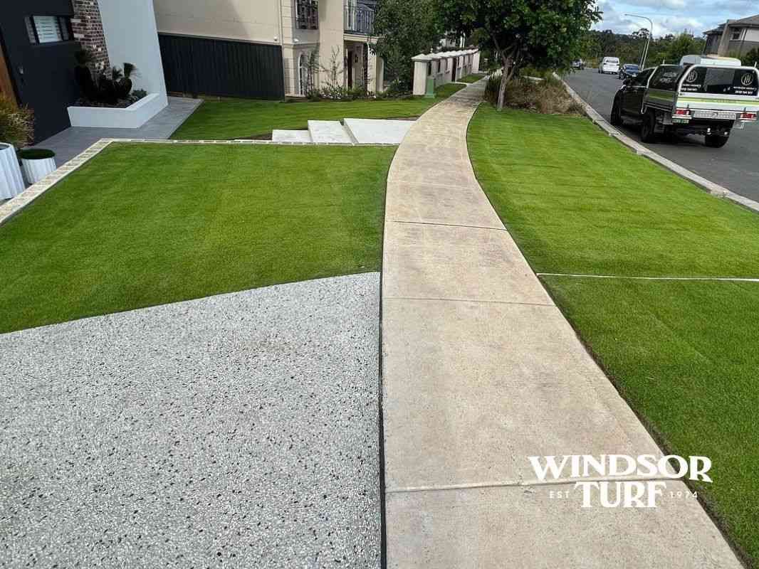 Backyard lawn with tidy pathway and lush green turf providing a clean space in NSW