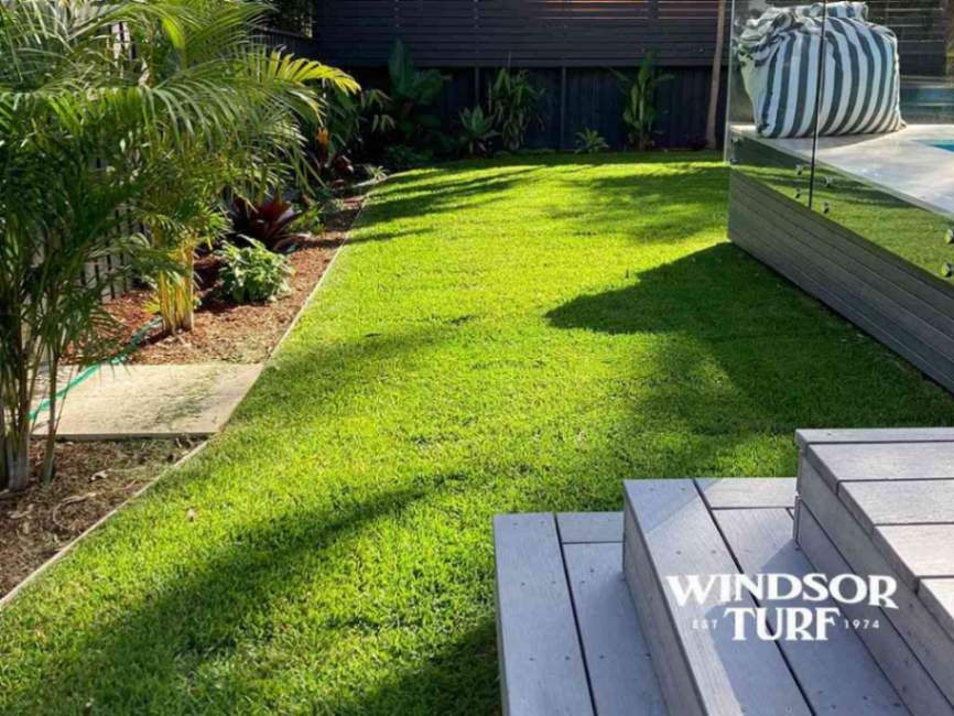 Backyard Lawn with Garden Beds and Path in NSW