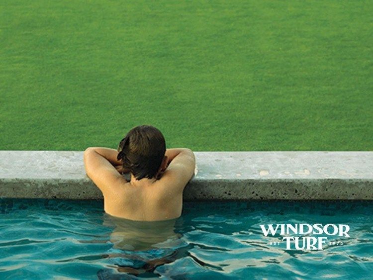 Lawn patch repair and turf restoration for healthy grass in Queensland