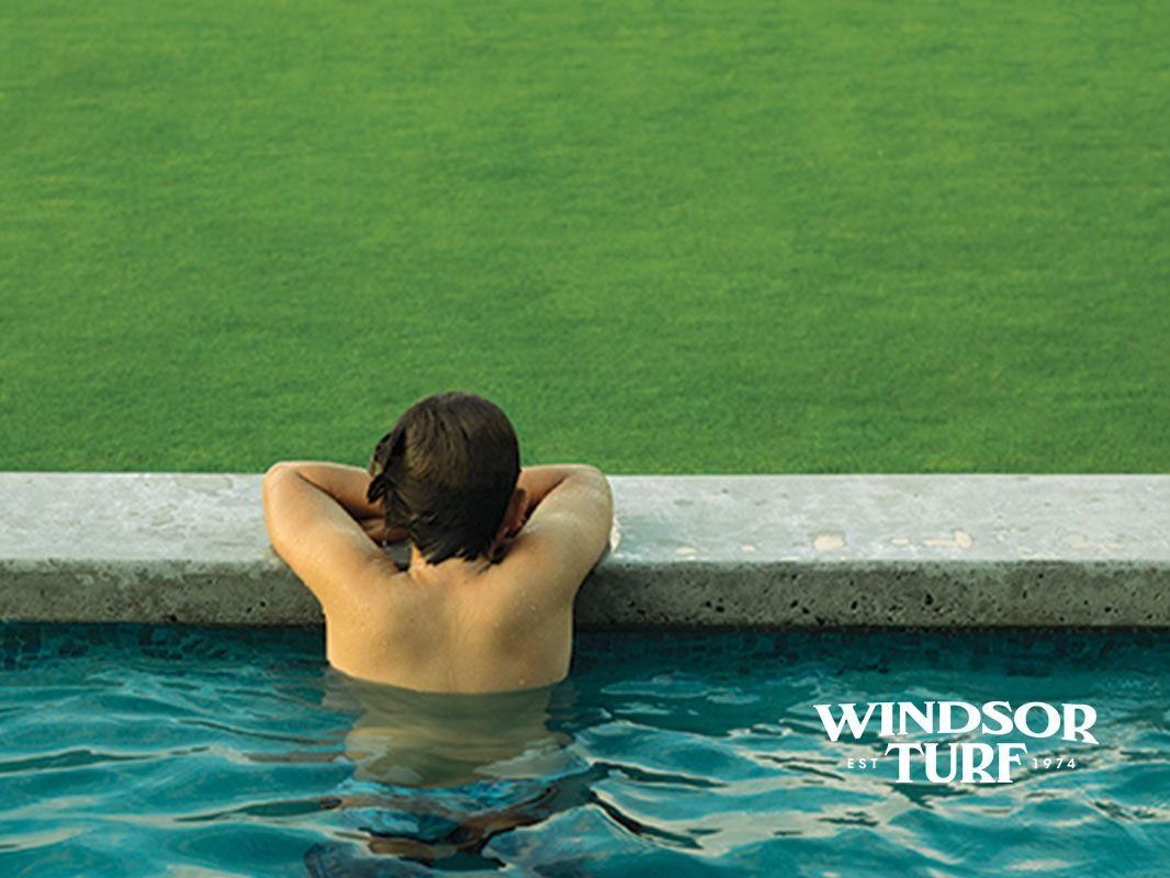 Lawn patch showing healthy green turf with strong growth and even coverage in NSW