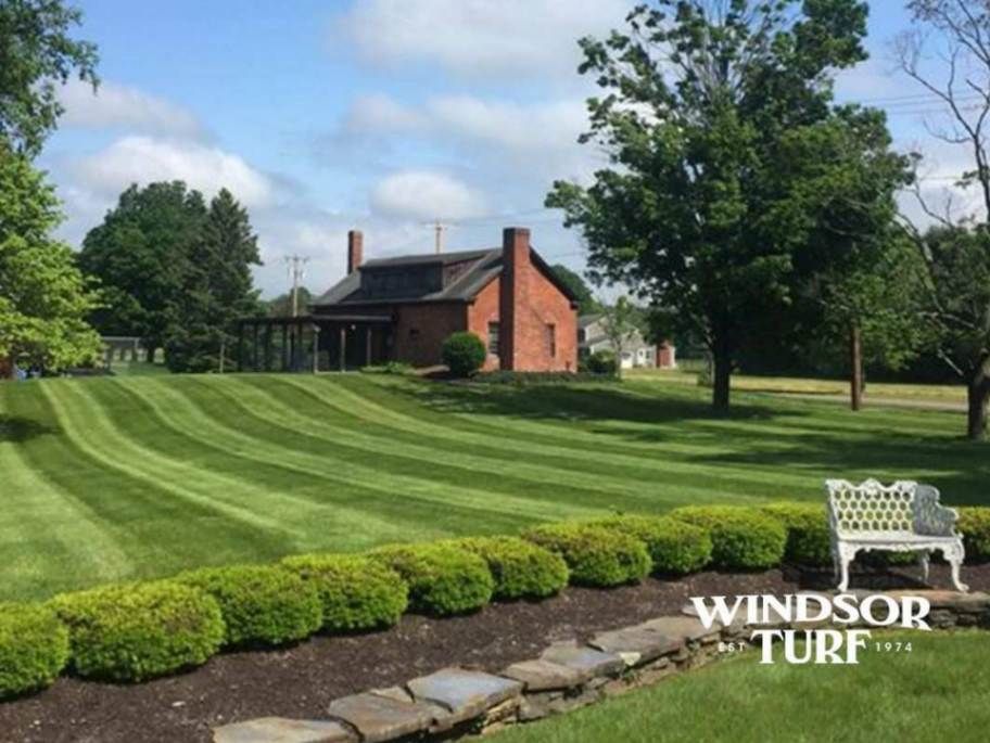 Front Yard Lawn Beside Driveway and Garden in NSW