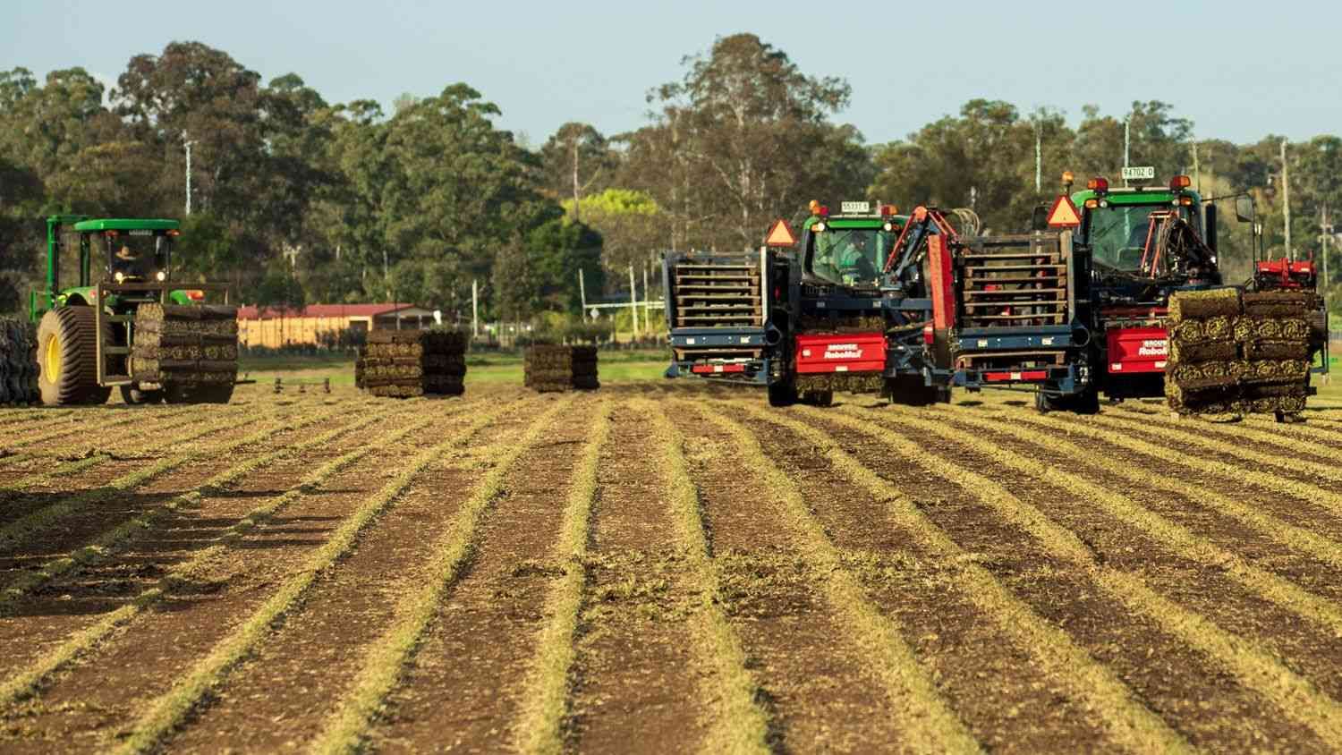 Commercial lawn surface with dense green turf ideal for business spaces in NSW