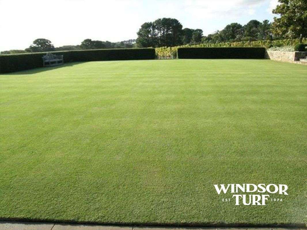 Open lawn field with wide green turf coverage providing a healthy surface across NSW