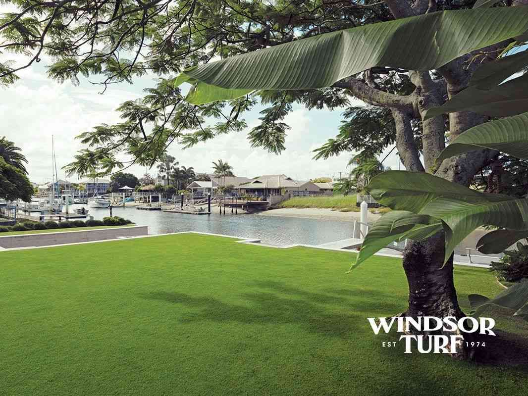 Lawn and garden bed area with neat turf and landscaped edges creating NSW outdoor space